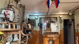 蓬塔阿雷纳斯HOSTAL VICTORIA的一间设有铺着木地板的商店的房间和一间装饰有羽毛的房间