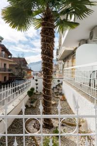 卡斯托里亚Airbnb Kastoria - Bella Vista B的白色栅栏前的棕榈树