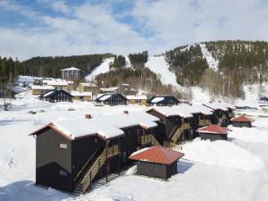 耶尔夫瑟Fin lägenhet med bastu i Järvsö!的雪中一群建筑物