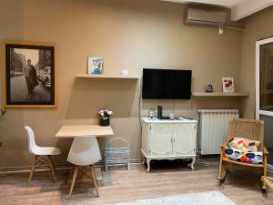 贝尔格莱德Downtown Zemun Studio Apartment的客厅配有电视和桌椅