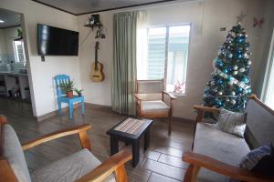 福尔图纳Argdivan Hostel的客厅的角落处有圣诞树