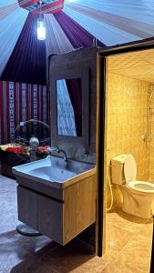 瓦迪拉姆Desert Life Camp的一间带水槽和卫生间的浴室