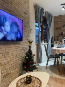 班斯科Boutique apartment Bansko Bell Tower的客厅里的圣诞树,配有电视