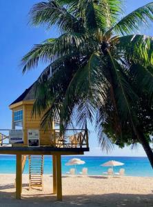 基督教堂市Private Garden Suite, Surf, Work, Relax的海滩上一棵棕榈树的房子