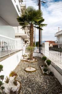 卡斯托里亚Airbnb Kastoria - Bella Vista A的阳台的庭院,种有棕榈树