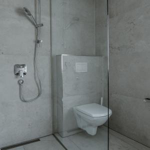 弗拉绍The Place Boutique & Design Hotel Flachau的带淋浴、卫生间和玻璃门的浴室