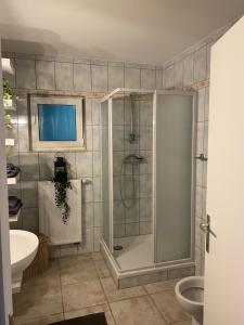 弗勒吕斯Appartement de charme的带淋浴、卫生间和盥洗盆的浴室