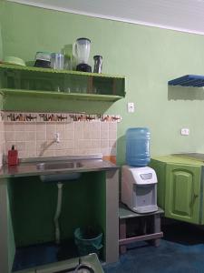 萨利诺波利斯Kitnet no Farol Velho的厨房设有绿色的墙壁和带水槽的台面