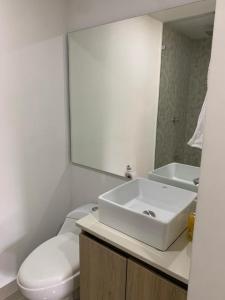 麦德林Medellín, conquistadores 201的一间带水槽、卫生间和镜子的浴室