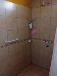 蒂诺加斯塔POSADA CUATRO HERMANOS的带淋浴的浴室