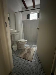奥尔沃克斯岛Cuarto chingui的浴室设有卫生间,地板上铺有地毯。