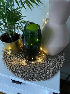 布雷斯特Brest : charmant appartement hypercentre的坐在桌子上的黑色花瓶,与植物