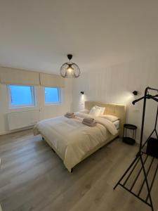 布兰肯贝赫Les amies的一间卧室配有一张大床和一个吊灯。