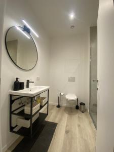 布兰肯贝赫Les amies的一间带水槽、镜子和卫生间的浴室