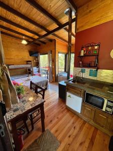 乌鲁比西Chalés incríveis com banheira de hidromassagem e vista encantadora的小木屋内的厨房和客厅