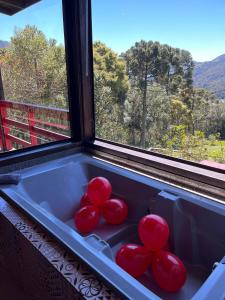 乌鲁比西Chalés incríveis com banheira de hidromassagem e vista encantadora的靠窗边的浴缸里装有红色的球