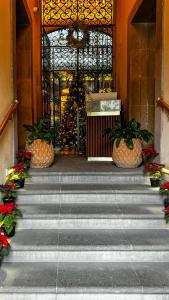 圣路易斯波托西Casa H Hotel Boutique的圣诞树建筑的入口