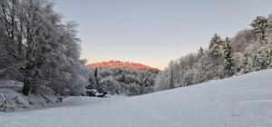 卡泰里尼ΑΘΗΝΑ A7的远处有雪覆盖的山坡上,有树木和房子