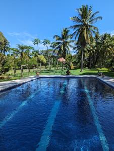 萨玛拉Paraiso Cocodrilo lodge - spirit of nature的一座棕榈树环绕的大型游泳池