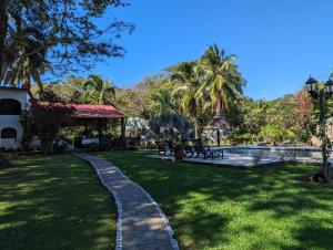 萨玛拉Paraiso Cocodrilo lodge - spirit of nature的一个带游泳池和棕榈树的花园