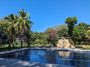 萨玛拉Paraiso Cocodrilo lodge - spirit of nature的棕榈树公园内的游泳池