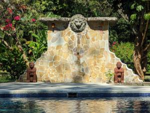 萨玛拉Paraiso Cocodrilo lodge - spirit of nature的游泳池中央的喷泉