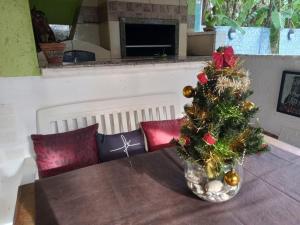 弗洛里亚诺波利斯Dell Osky Pousada的桌子上花瓶里的圣诞树