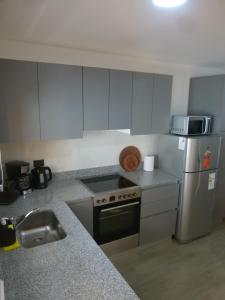 圣马丁德洛斯Departamento RUKA-9的厨房配有炉灶和冰箱。