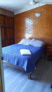 圣克鲁斯华特库Loft guelaguetza A的一间卧室配有一张蓝色的床和砖墙