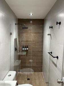 里奥阿查Casa Gali的带淋浴、卫生间和盥洗盆的浴室