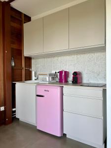 圣皮埃尔Ti Kaz C2C - Une maison Balinaise的厨房配有粉色冰箱和白色橱柜