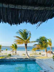 普拉伊拉多比莱尼Shongili Island Lodge的享有棕榈树海滩景致的游泳池