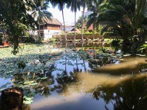琅勃拉邦Luangprabang Villa bouathong Hotel的满是百合垫子和棕榈树的池塘