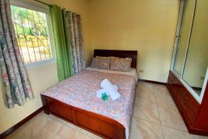 卡莫特斯群岛Camotes Serenity的一间卧室配有一张带横跨床的卧室