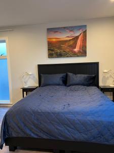 塞尔福斯Nyibaer studio apartment的卧室配有一张蓝色的床,墙上挂着一幅画