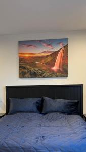 塞尔福斯Nyibaer studio apartment的一间卧室配有一张壁画床