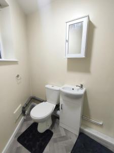 布赖尔利希尔Local to Russells Hall Hospital的浴室设有白色的卫生间和镜子
