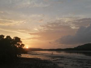 拉特纳吉里Samarth Homestay的河岸上的日落