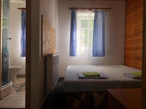派克波特斯耐兹库Chalupa Anička的一间卧室配有床和蓝色窗帘的窗户