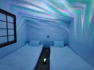 东京Hostel Belle Via Tokyo的星空间内带两张床的房间
