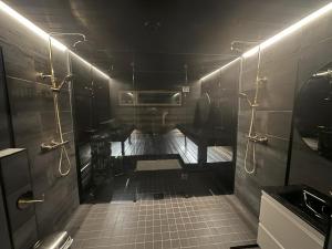 罗瓦涅米Lakeside Lodge Norvis的带淋浴和盥洗盆的深色浴室