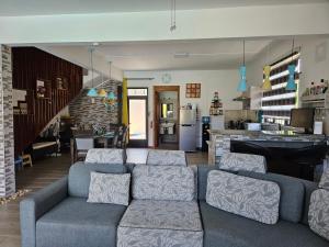弗利康弗拉克Villa Aahana - Flic en Flac的带沙发的客厅和厨房