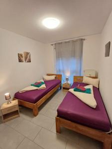 阿沙芬堡Apartment/Wohnung direkt in Aschaffenburg的紫色床单的客房内的两张床
