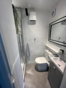 MereThe Dog House, Mere的一间带卫生间、水槽和镜子的浴室