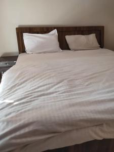 斋浦尔HOTEL CASTLE HOME STAY的一张带两个枕头的大白色床