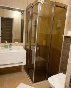 东吉托伊Hotel Comfort & Villas的带淋浴和盥洗盆的浴室