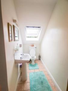 丁格尔Orchard Cottage的浴室配有水槽和带天窗的卫生间。