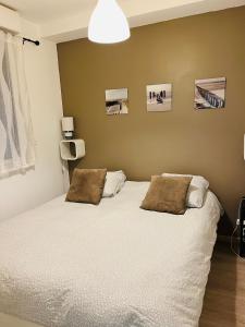 马赛Le Phocéen Appartement Terrasse Plein centre的一间卧室配有一张带两个枕头的床