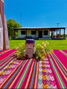 特尔马斯德里奥翁多LA CABAÑA的一张桌子,上面有鲜花,放在毯子上