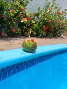 圣若泽-达科罗阿格兰迪Casa Pé na Areia的椰子坐在游泳池边